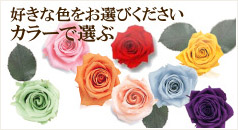 好きな色をお選びください カラーで選ぶ