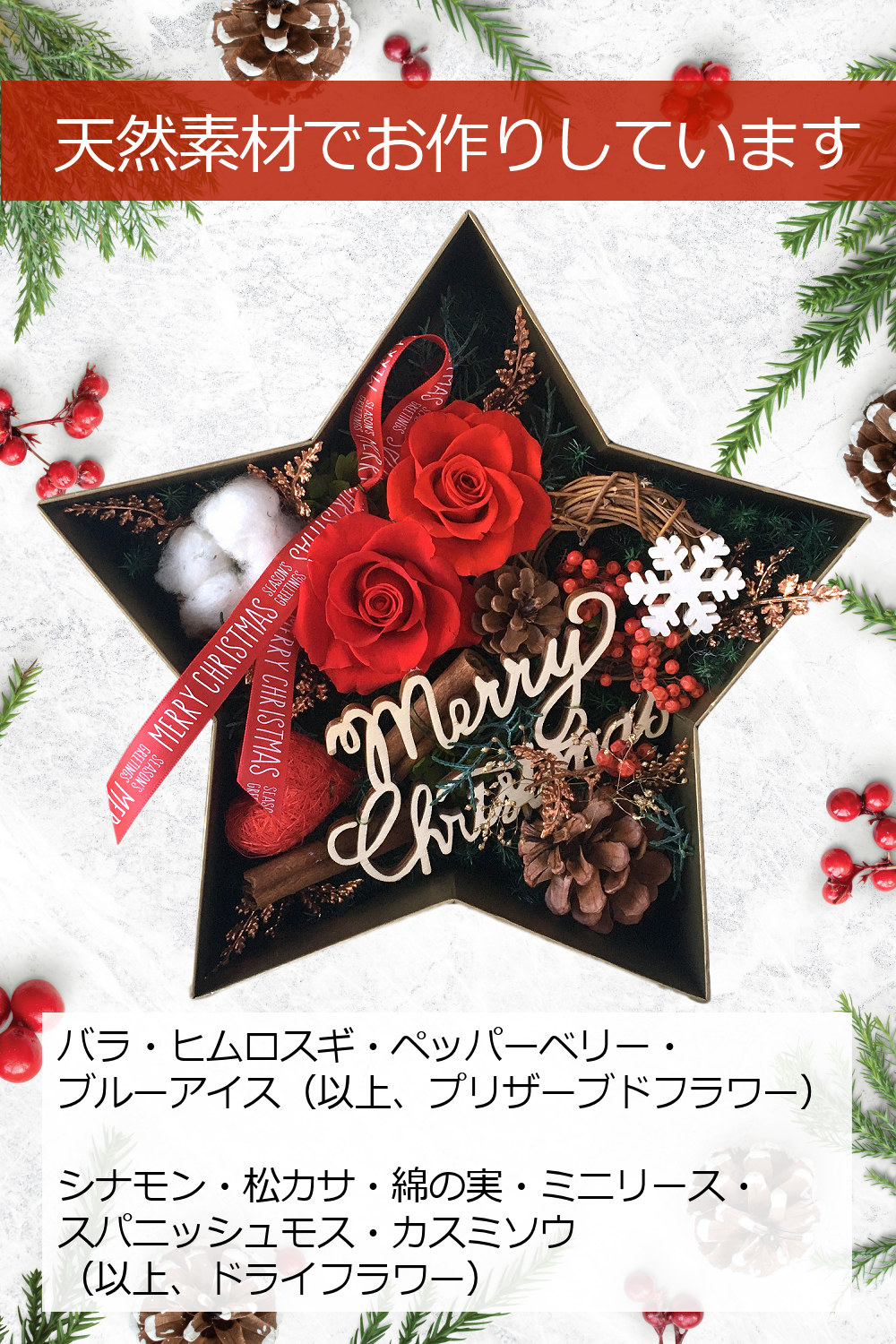 クリスマススター10