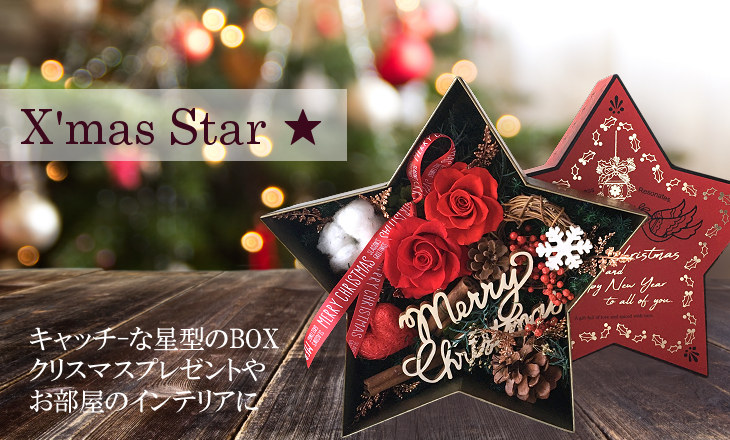 クリスマススター（レッド）