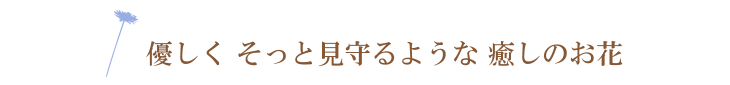 ボン　クラージュ【プリザーブドフラワー】