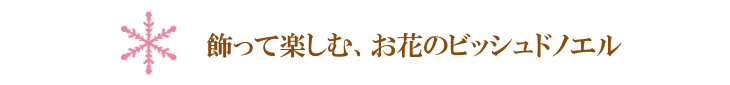 ビッシュドノエル【プリザーブドフラワー】