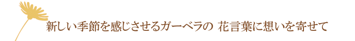 エスポワール・ベア（オレンジ）【プリザーブドフラワー】