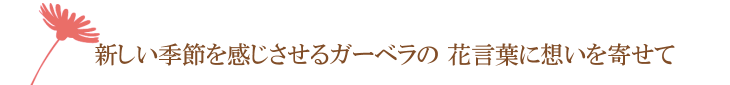 エスポワール・ラビット（ピンク）【プリザーブドフラワー】