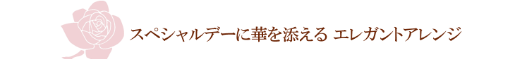 フィオーネ【プリザーブドフラワー】