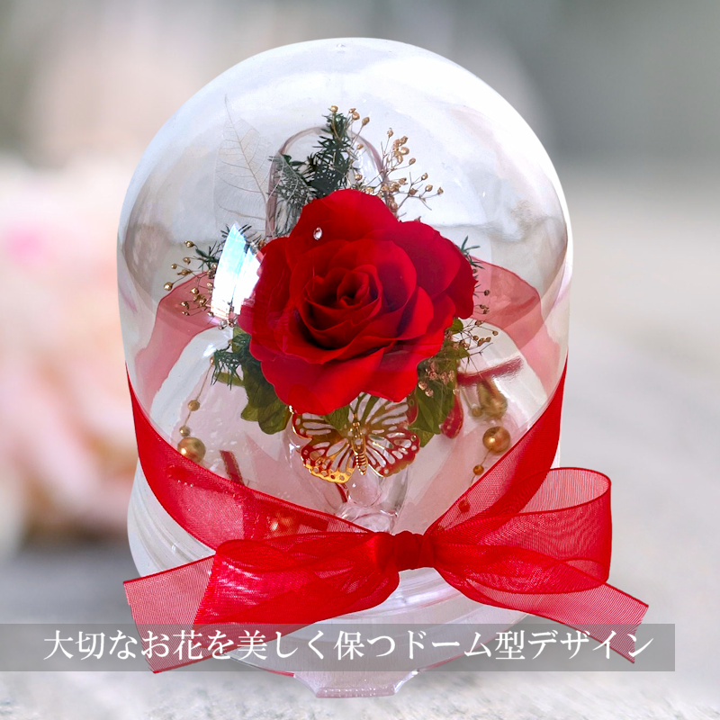 グラスヒールSサイズ(レッ)