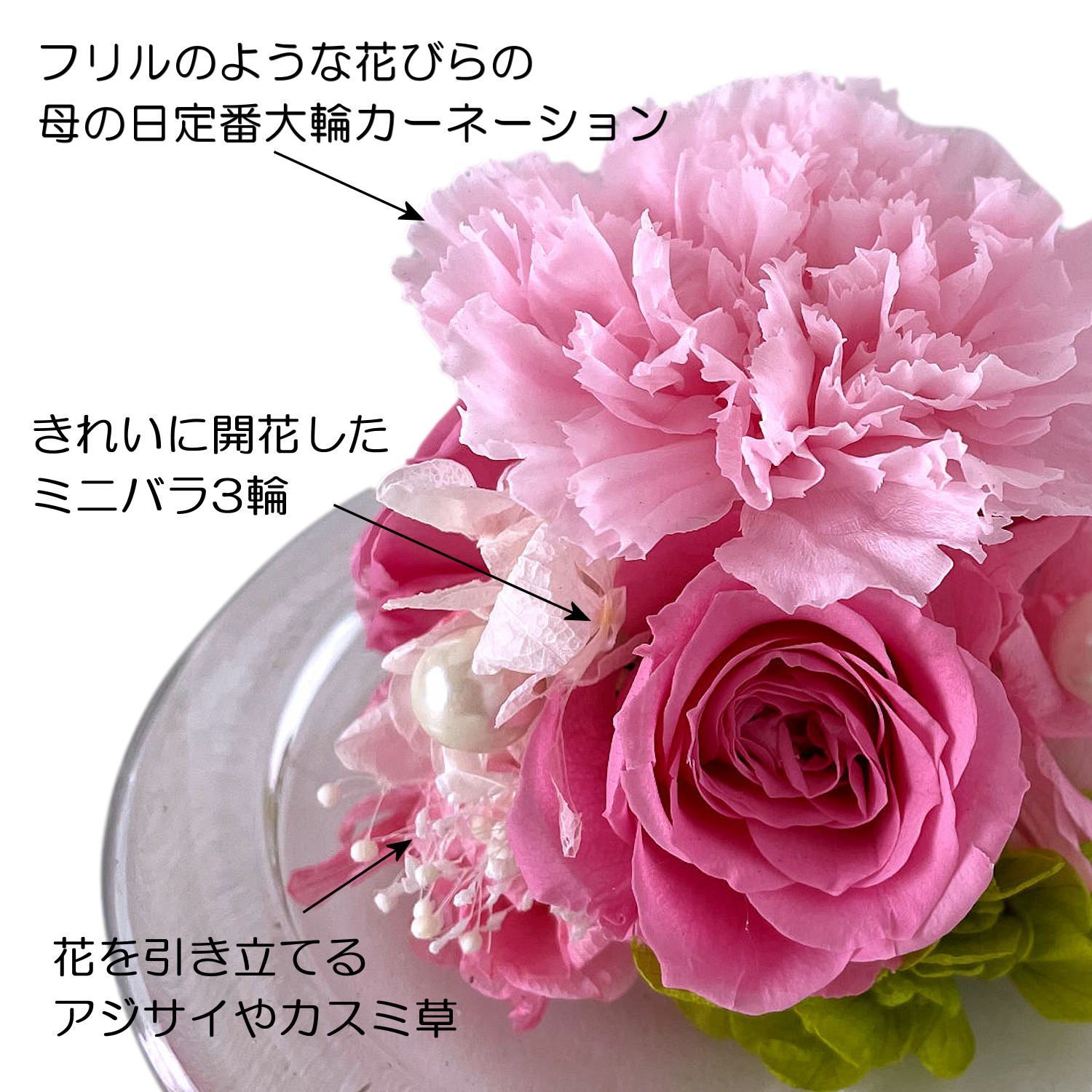 グラスドーム