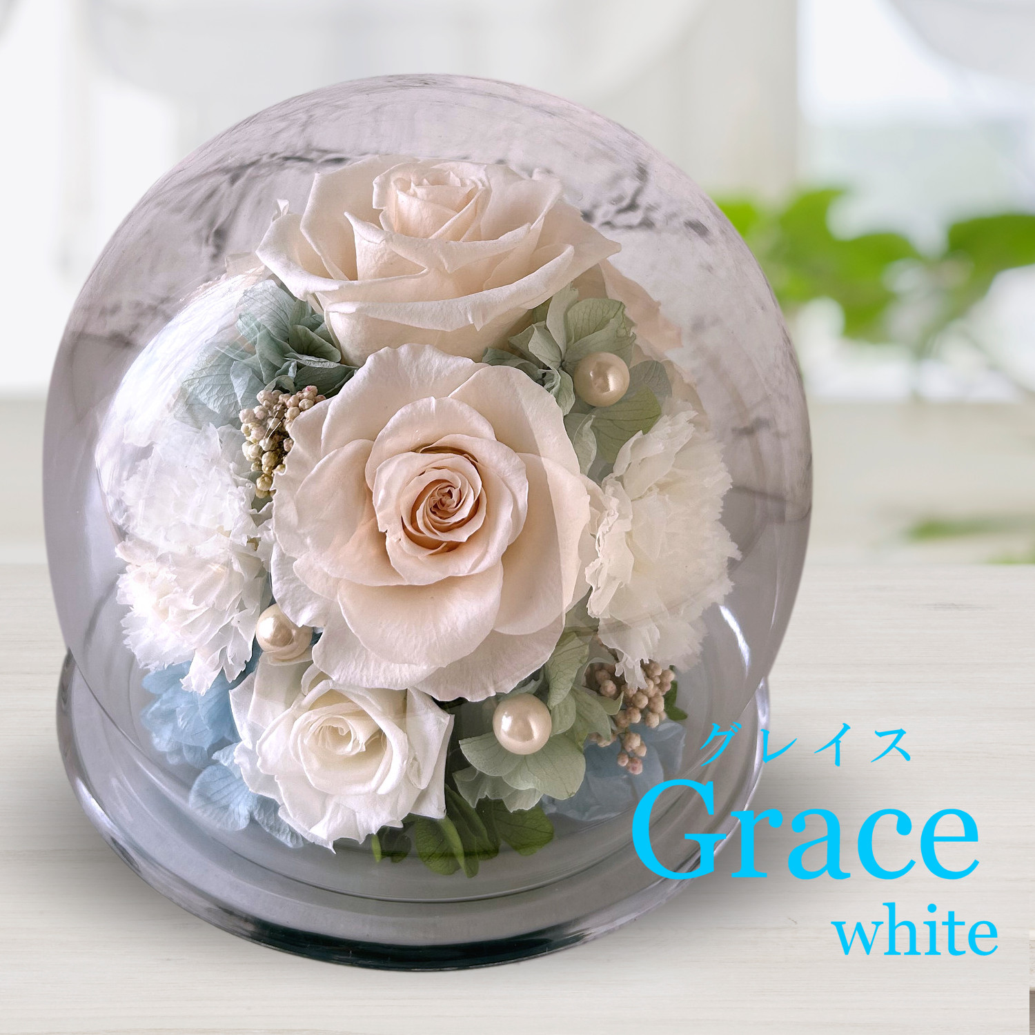 グレイス（ホワイト）
