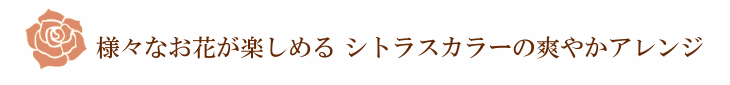 ジュリア（オレンジ）【プリザーブドフラワー】