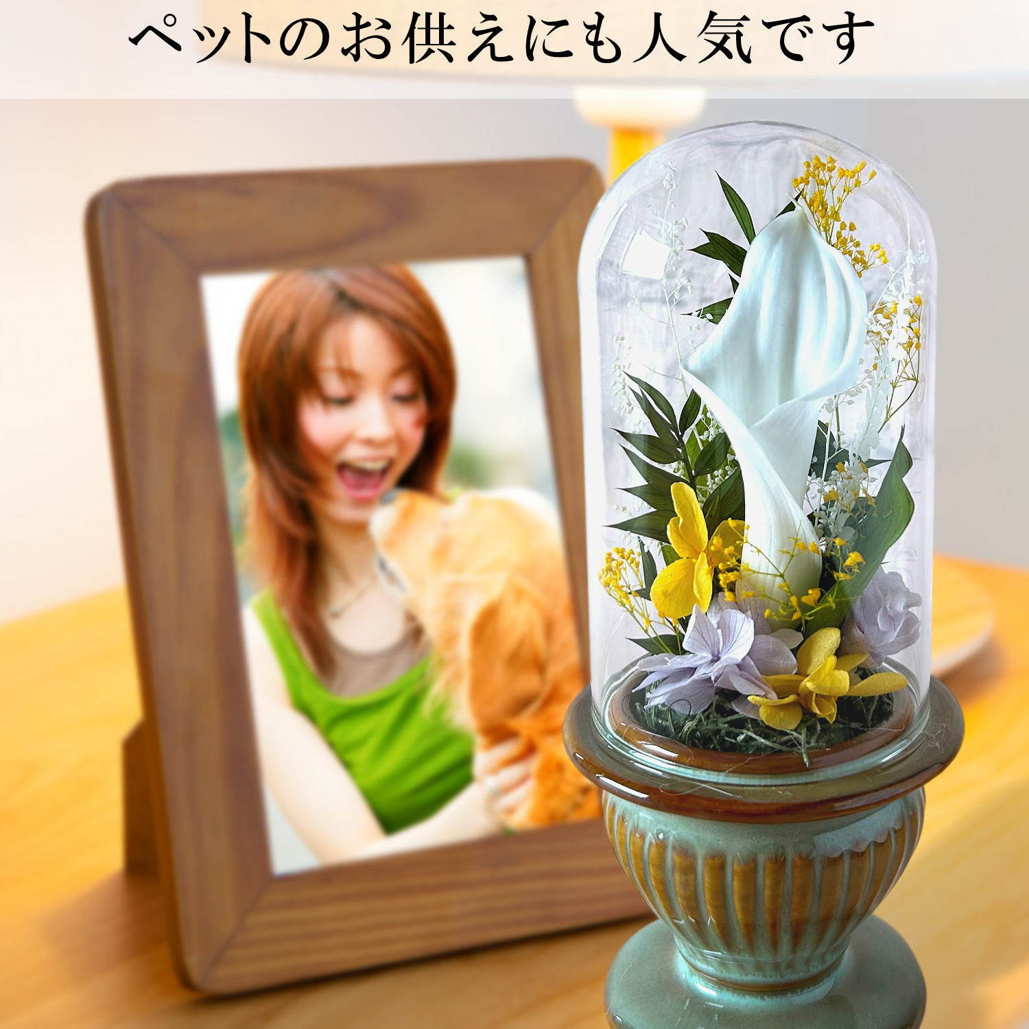 清香(ホワイト)