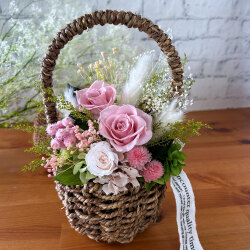 �����ޡ����̤Υץꥶ���֥ɥե��֥�����ܡ��ơʥԥ󥯡ˡ�