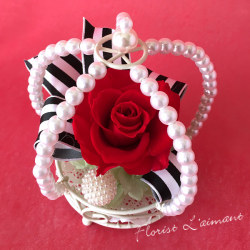 �����ޡ����̤Υץꥶ���֥ɥե� �ѡ��륯�饦��ʥ�åɡ�