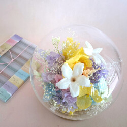 �����ޡ����̤Υץꥶ���֥ɥե��֥���ܥ��