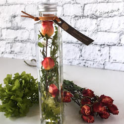 ロージー（オレンジ）