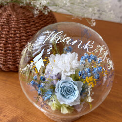 �����ޡ����̤Υץꥶ���֥ɥե� ����ܥ�ʥ֥롼��