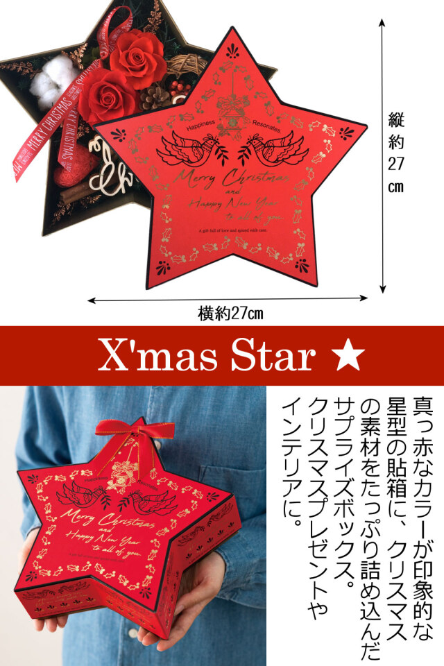クリスマスプレゼントやインテリアにおすすめの星型BOXアレンジ｜クリスマススター（レッド）