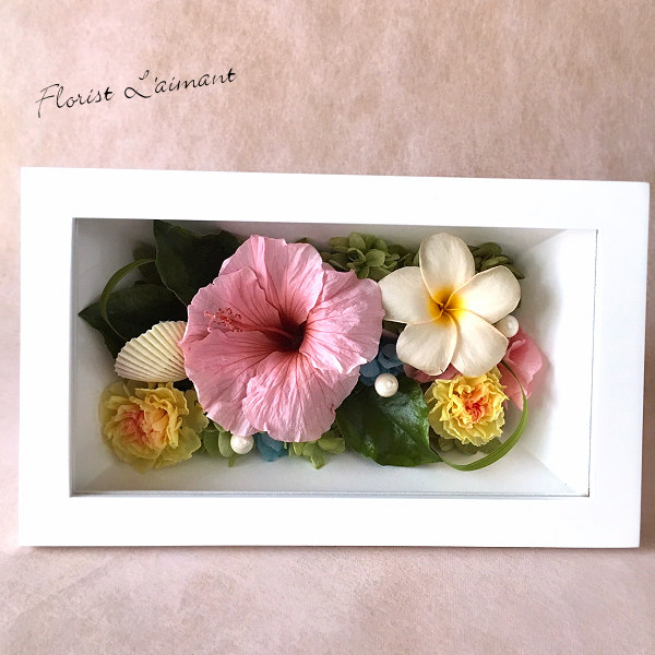 珍しいハイビスカスのプリザーブドフラワー｜アロハ（ピンク）
