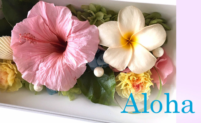 珍しいハイビスカスのプリザーブドフラワー｜アロハ（ピンク）
