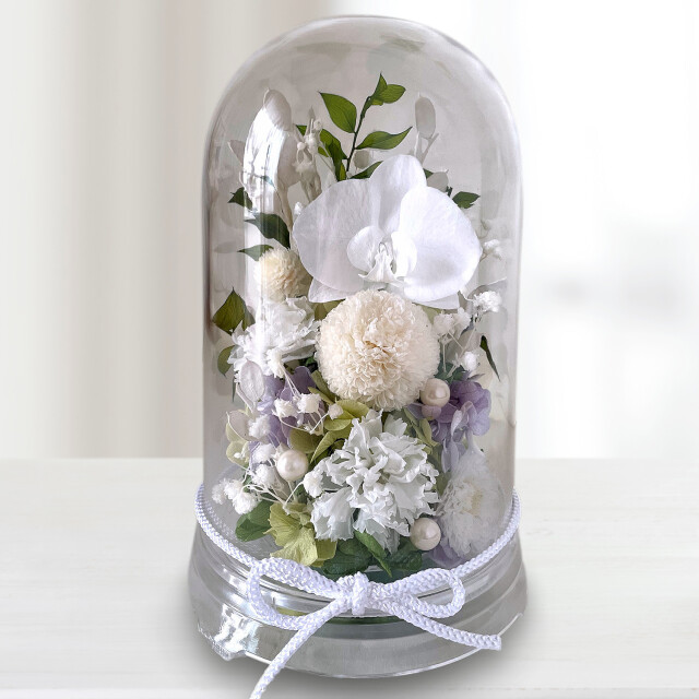 はるか（ホワイト）