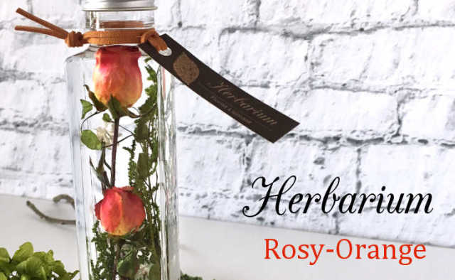 ハーバリウム・ロージー（オレンジ）【プリザーブドフラワー】