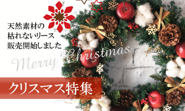 クリスマス特集