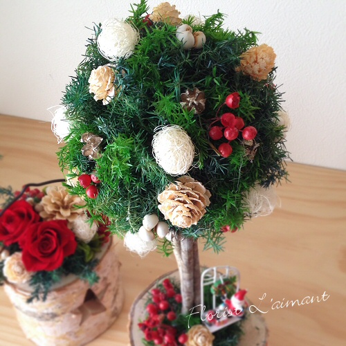ナチュラルテイストのクリスマストピアリー｜クリスマストピアリー（レッド）