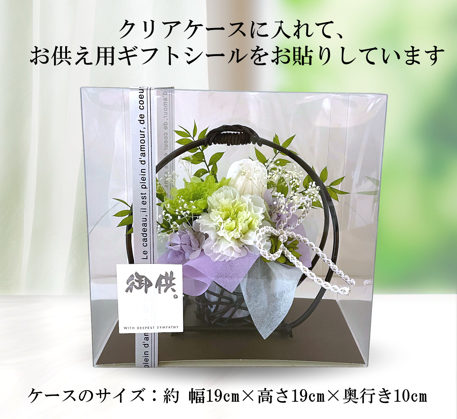 豆千代(ホワイト)