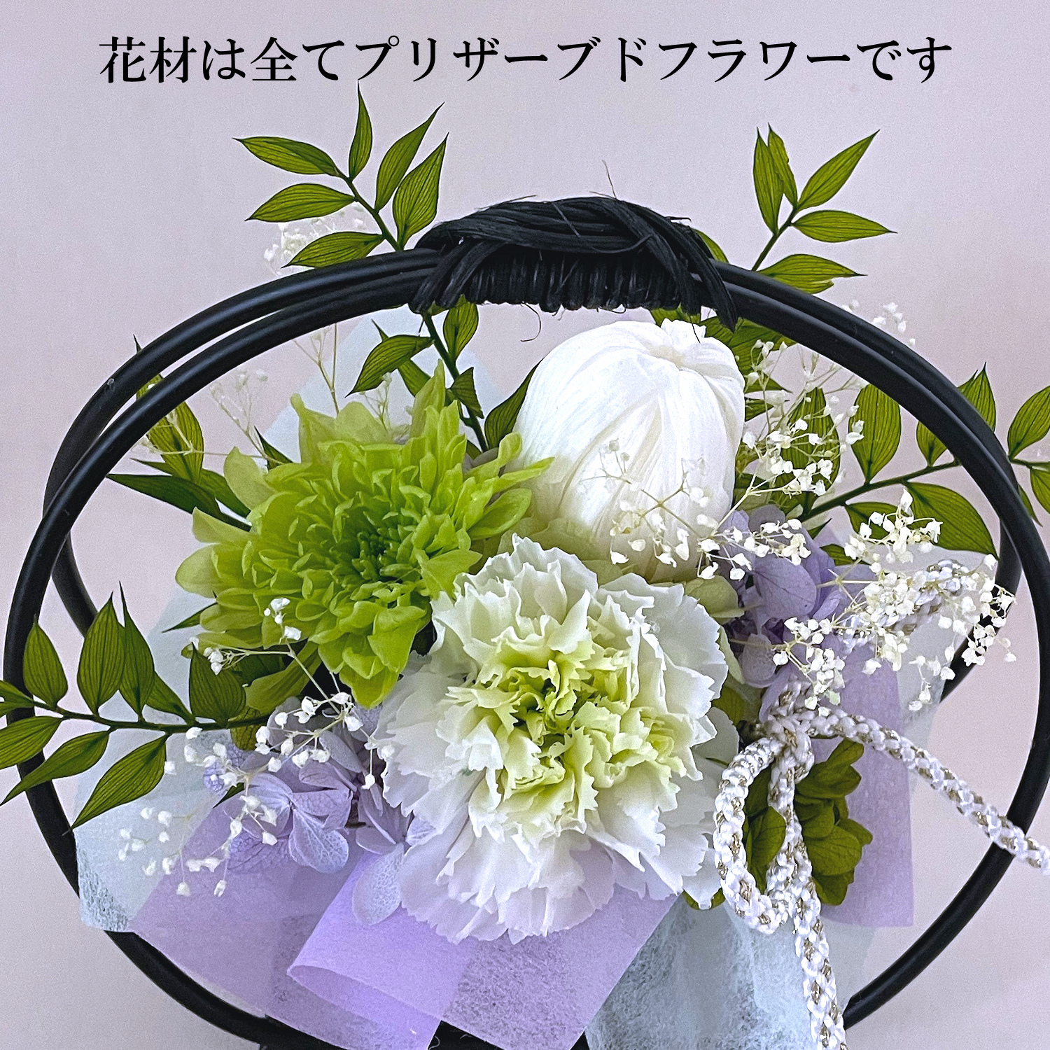 豆千代(ホワイト)