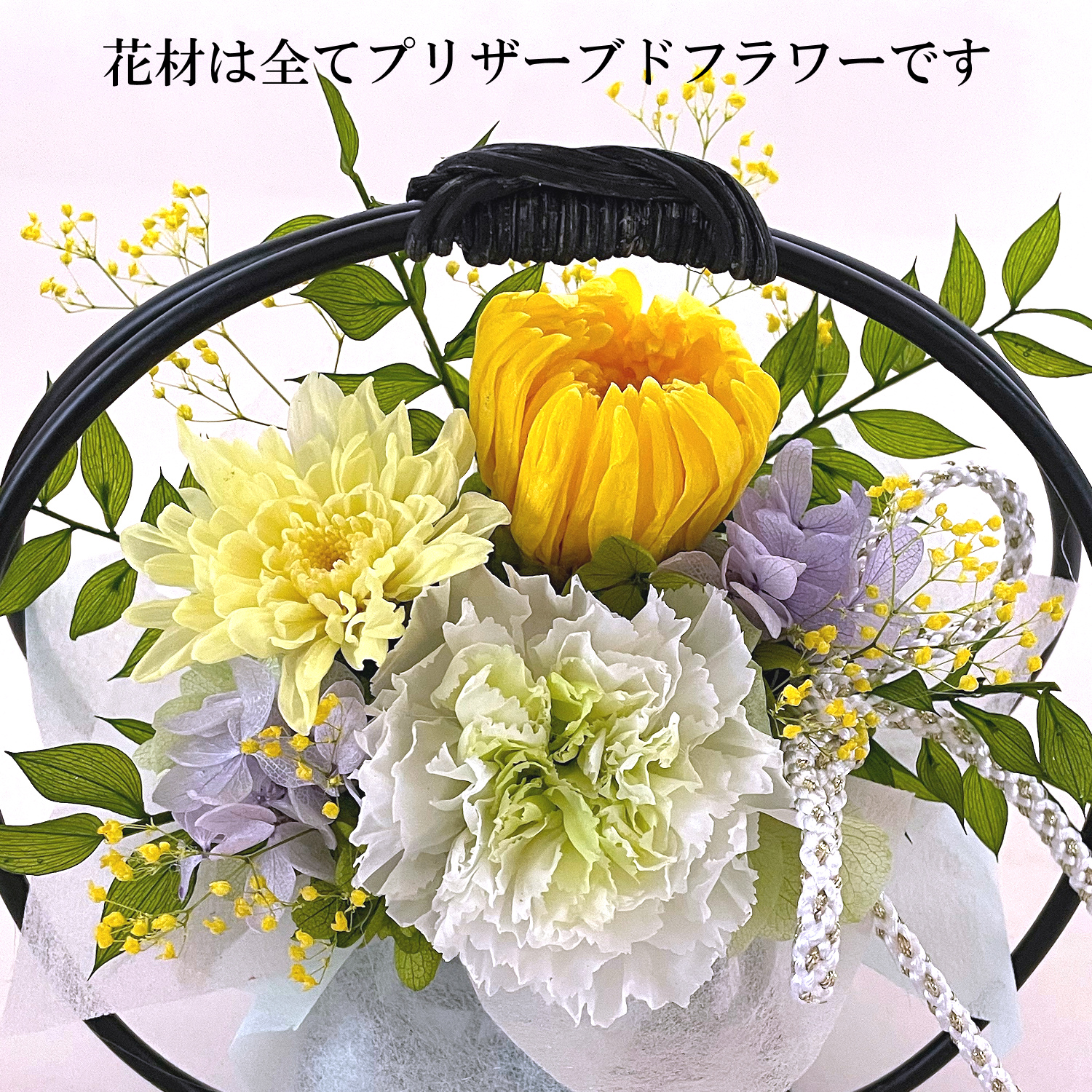 豆千代(イエロー)