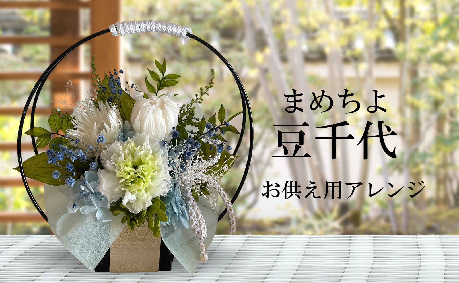 豆千代（ホワイト）