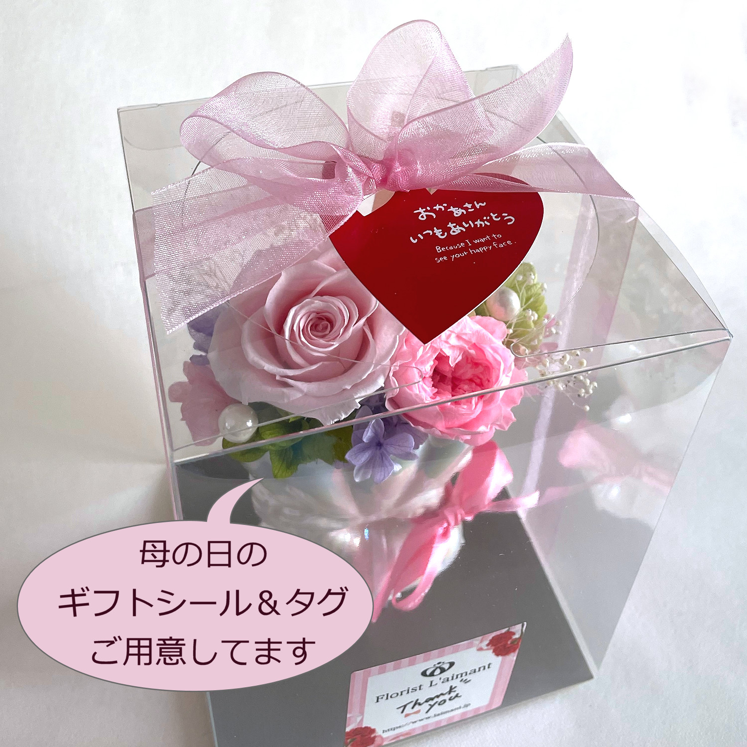 メルシー(ピンク)