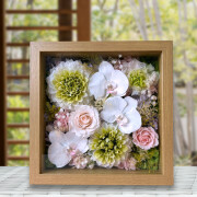 �ۡ��ե졼�ॢ��󥸡��޿�ҥ�����