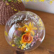 ���Ƚˤ�����Ź�ˤ��Υץꥶ���֥ɥե��֥���ܥ�ʥ���󥸡ˡ�