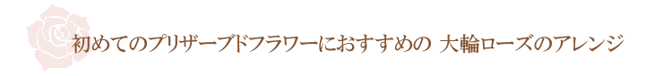 プチハート（ピンク）【プリザーブドフラワー】