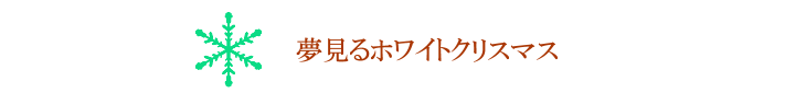 パウダースノー【プリザーブドフラワー】