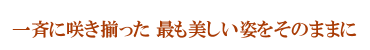 大切なお花を埃や接触から守ります