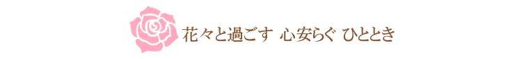 クロノス・セルクル（パステル）【プリザーブドフラワー】