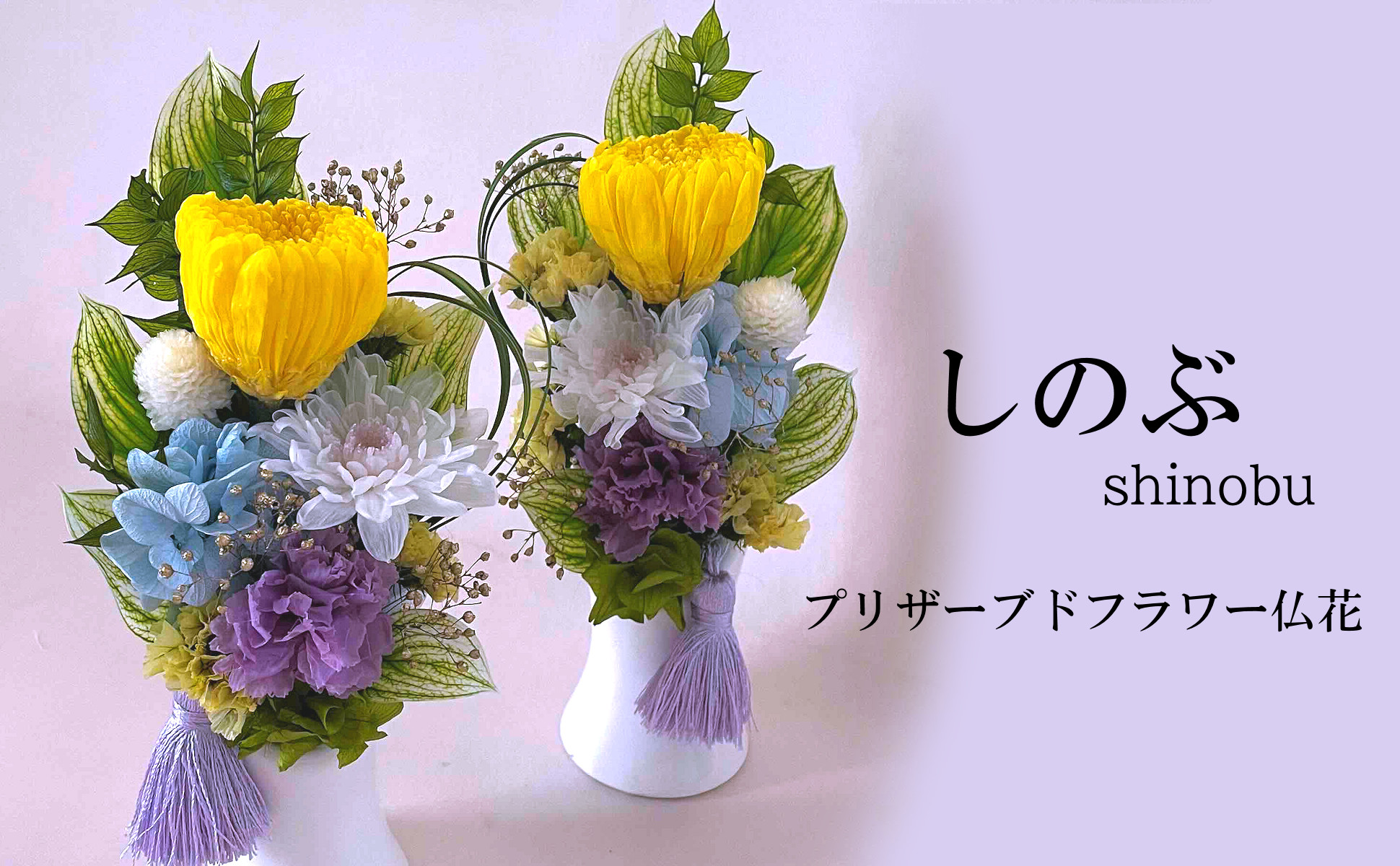 しのぶ
