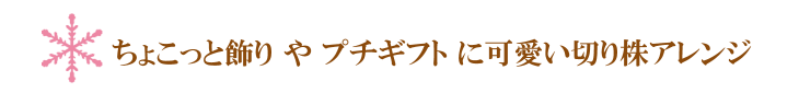 スーシェ（ピンク）【プリザーブドフラワー】