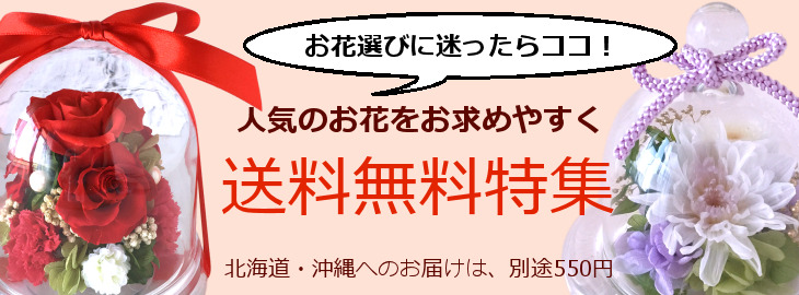 送料無料特集