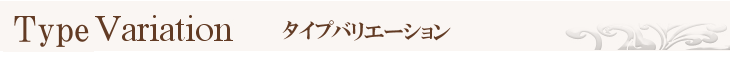 タイプバリエーション